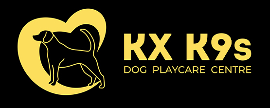 KXK9 Dog Playcare Center